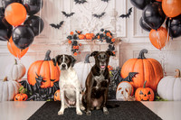Dixie and Dax