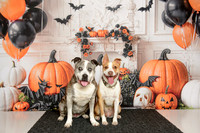 Trinity and Piper