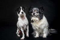Benny and Jakey