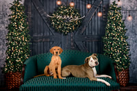 Remi and Tucker