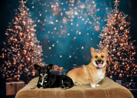 Kipper and Rosie