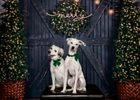 Nala and  Harleigh
