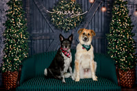 Kinley and Meeko