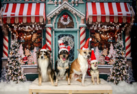 Louise Sydney Tequila Mogwai Lt Dan Lacey Memphis Teton