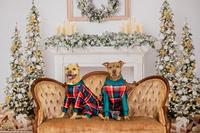 Cassie and Archie