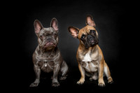 WILBUR and WALTER